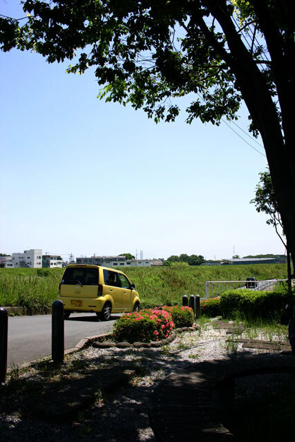 IMG_0005.jpg