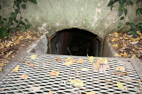 IMG_0026.JPG