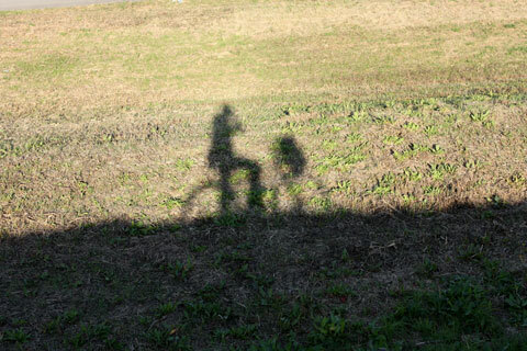 IMG_0098.jpg