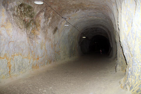 IMG_0185.jpg